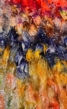 Load image into Gallery viewer, Pelskling - "Falla Fritt"