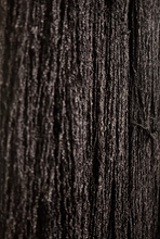 Load image into Gallery viewer, Krølle "Black Friday"