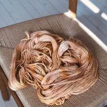 Load image into Gallery viewer, Skatten - "Aslan"