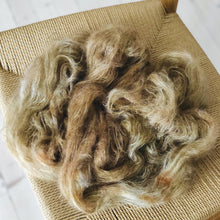 Load image into Gallery viewer, Skyfly - "Braveheart" 001