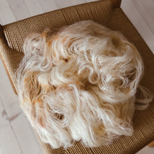 Load image into Gallery viewer, Skyfly - "Summertime" 004