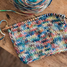 Load image into Gallery viewer, Skatten - "Skittles"