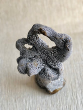 Load image into Gallery viewer, KS x GT - Skulptur #097